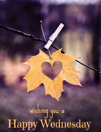 Wishing you a Happy Wednesday leaf with heart 
